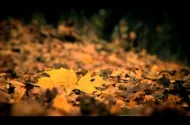 Embedded thumbnail for Бумбокс